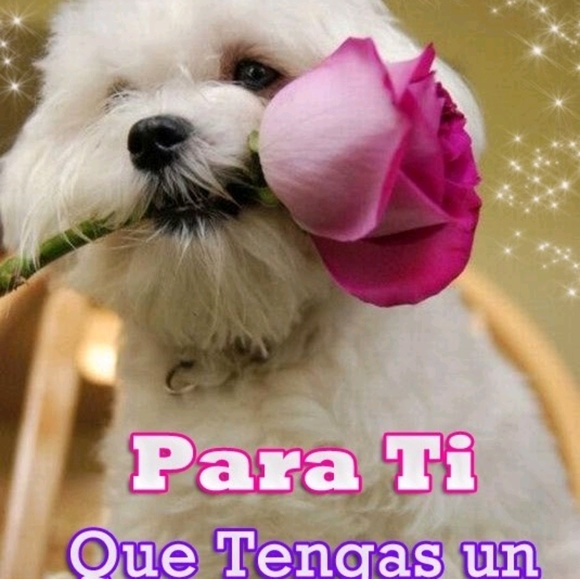 Meet your Posher, Vanessa - Picture 1 of 1